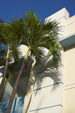 CPM Orlando Florida Event Rentals