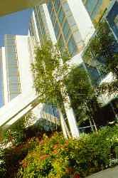 St. John's Hotel & Conference Centre 