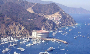 Avalon Computer Rentals