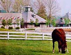 Lexington Rentals
