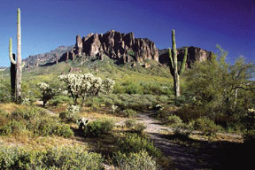 Mesa Technology Rentals