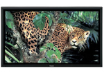 Panasonic Plasma Display Rentals
