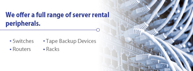We offer a full range of server rental peripherals