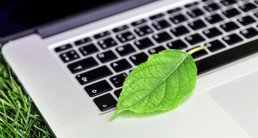 A laptop with a leaf on it