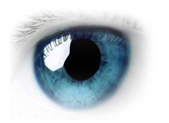 Blue eye with black and white background 