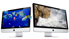 A pair of Apple iMac Desktop Computers