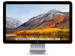 Thunderbolt Display Rentals