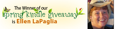 Rentacomputer.com Giveaway